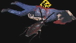 Un idiota que no puso atencion